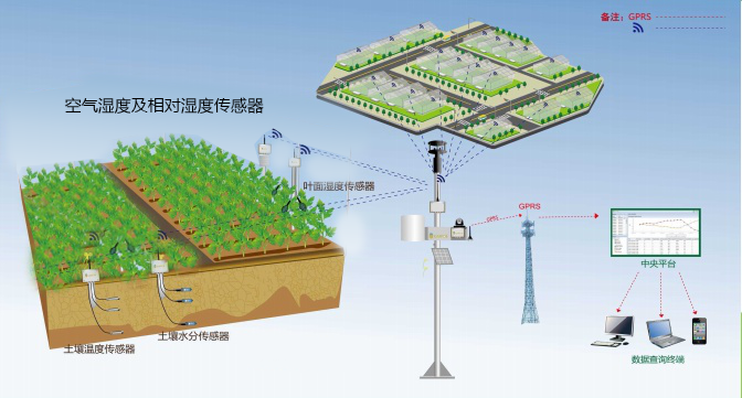 智能物聯(lián)網(wǎng)及水肥 一體化示范項目